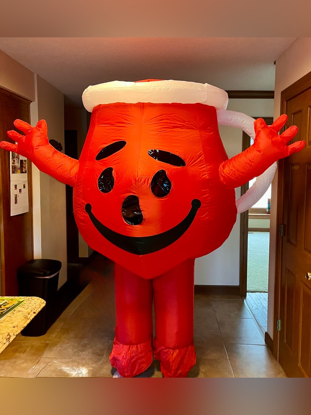 Red Kool-Aid Man Costume